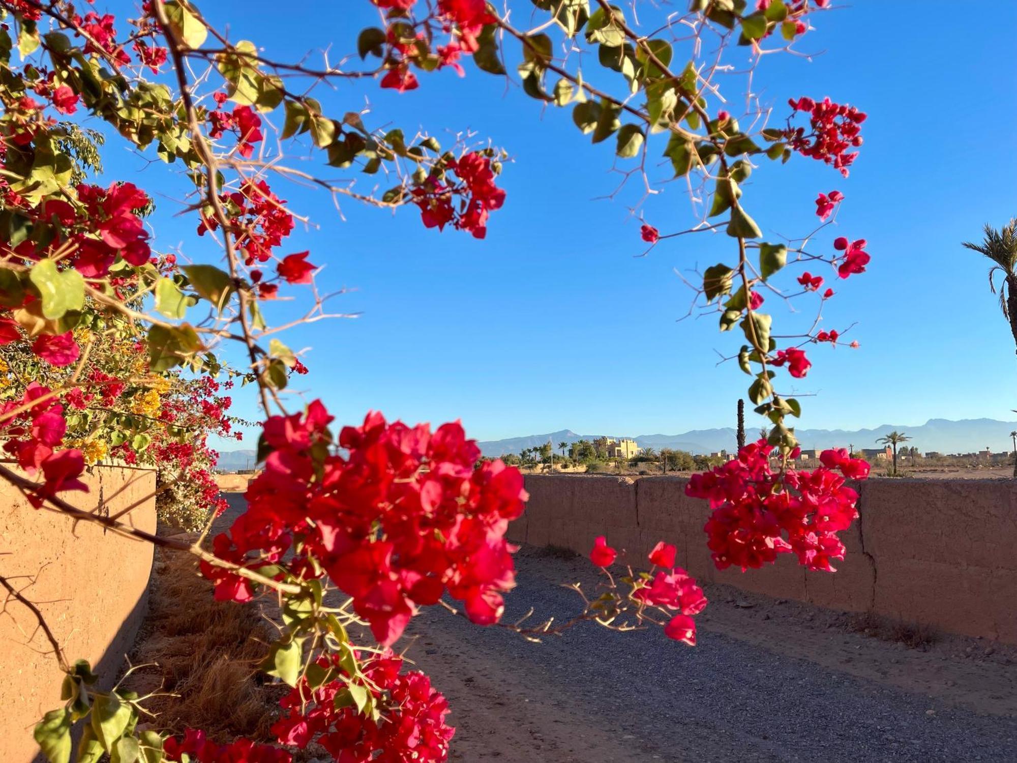 Dar Hadjar Gasthof Marrakesch